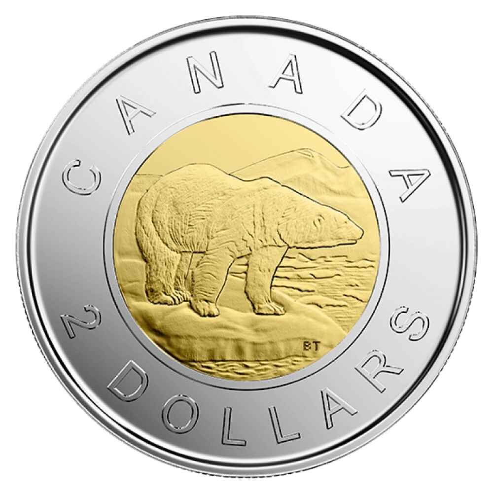 2019 Canadian Circulation Coin Set - Glow In The Dark Everlasting Canadian Icons - Image 6