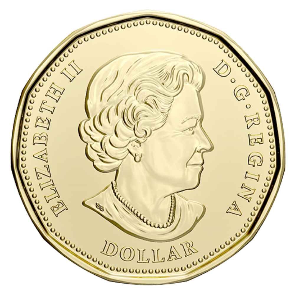 2020 Canadian $1 Signing Of The United Nations Charter 75th Anniv Coloured Loonie Dollar Coin - UNC ex Mint Roll - Image 4