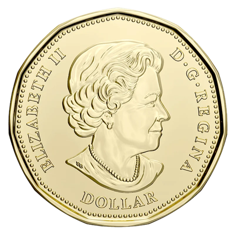 2020 Canadian $1 Signing Of The United Nations Charter 75th Anniv Coloured Loonie Dollar Coin - UNC ex Mint Roll - Image 4