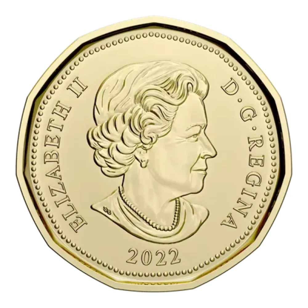 2022 Canadian $1 Birth of Alexander Graham Bell Coloured Loonie Special Wrap Coin Roll - Image 4