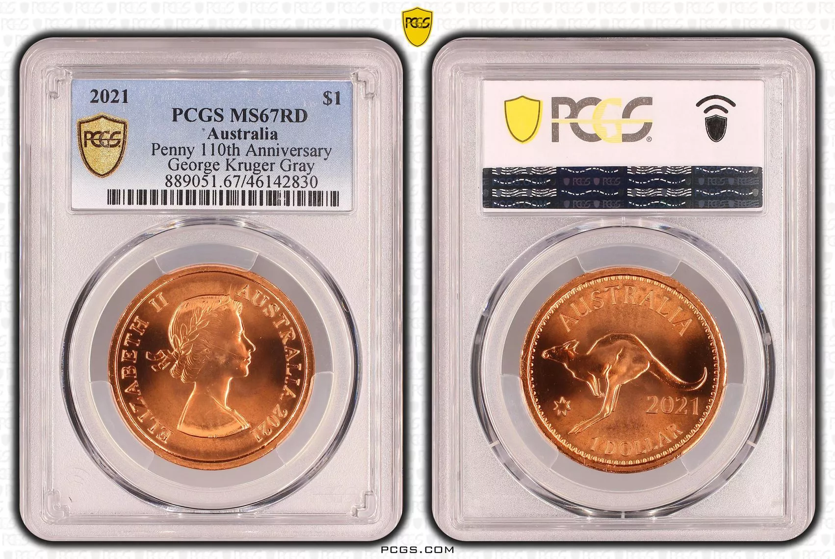 PCGS MS67RD 2021 $1 Penny 10th Ann George Kruger Gray