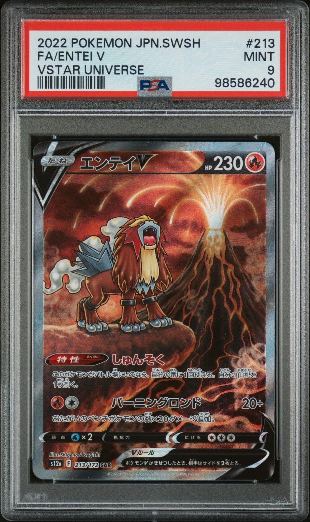 Entei V 213 VSTAR Universe PSA 9